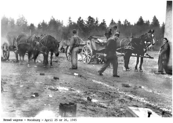 Stalag VII A 25. / 26. April 1945, Fuhrwerke mit Brot