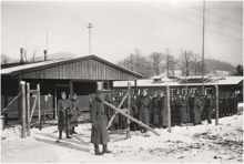 Kriegsgefangene polnische Soldaten, Außenlager in Kaprun