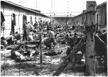 Anfang 1945, US-Flieger im �berf�llten Lager