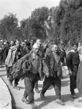 Juli 1944 - gefangene griechische und albanische Freiheitskämpfer werden interniert