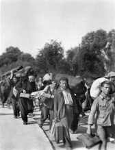 Juli 1944 - gefangene griechische und albanische Freiheitskämpfer werden interniert