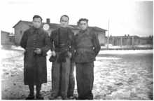 franz�sische Patienten